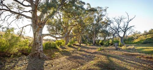 Holowiliena Station & The Outback Blacksmith in Hawker