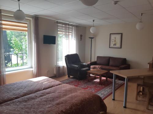 Solo studio, Birštonas (Foto 8)
