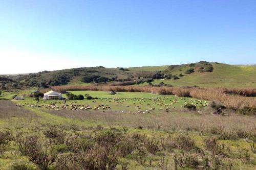 Glamorous Cabin on a Farm gîte à louer Barranco do Vale do Gato