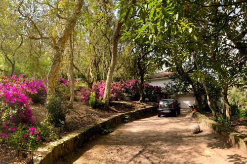 Quinta biológica, com vista, na Serra de Sintra