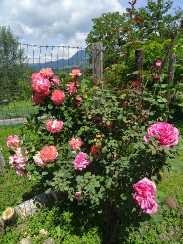 La Fattoria al Crocefisso