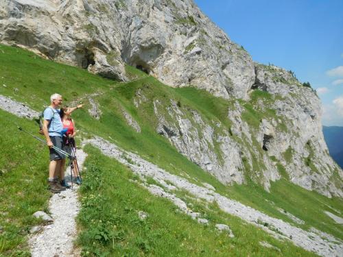 FerienFuchs FerienFuchs