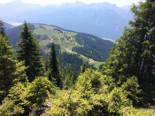 FerienFuchs FerienFuchs