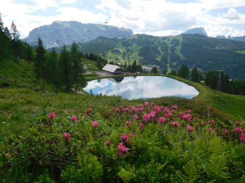 FerienFuchs FerienFuchs