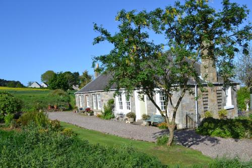 Balmungo Cottage B&B - Accommodation - St Andrews