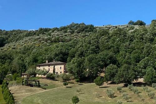  Villa Mercatello Umbria in Mercatello