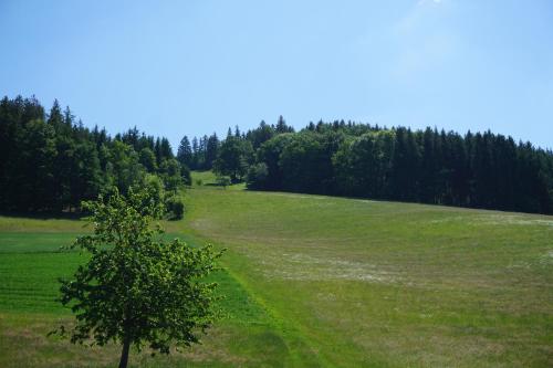 Kurparkhotel Faißt