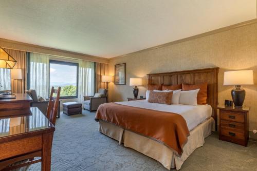 Premium Mountain View Room with One King Bed