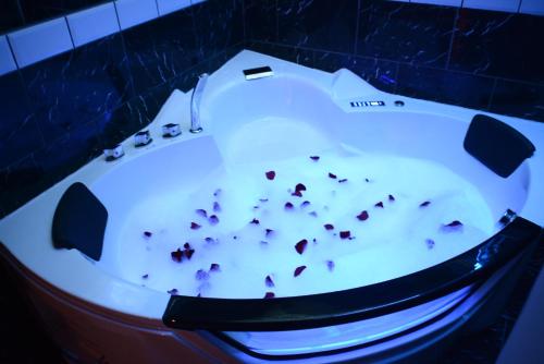 Masszázs, Apartments Take a Break Novi Sad in Podbara