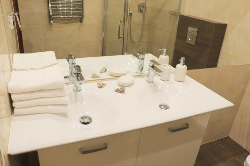 Apartament Przy Parku Wiselka in 維塞烏卡