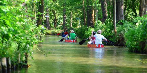 Am Waldrand Spreewald