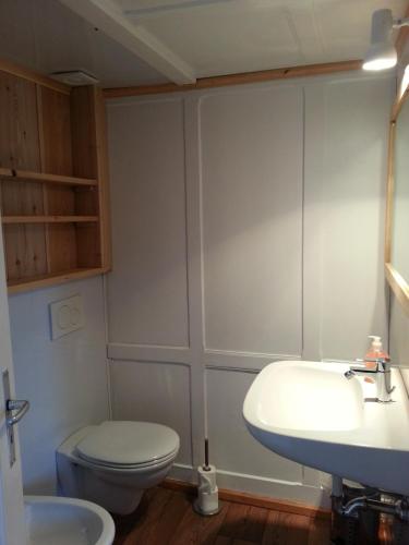 Chalet Speciale - Celerina, Celerina (foto 3)