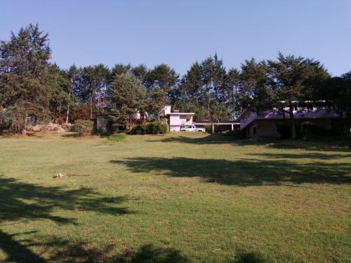 Hotel Bosques in Barrio San Bartolo