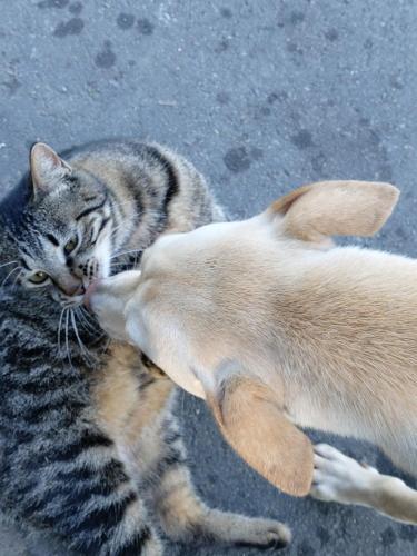 遇見台灣百合民宿