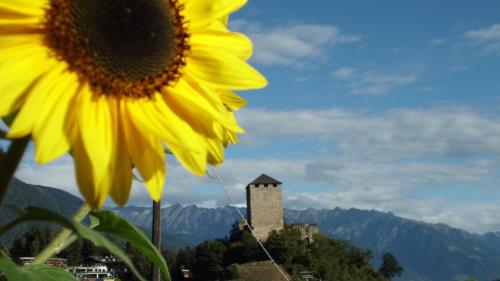  Stettnerhof, Völlan bei St. Felix in Deutschnonsberg