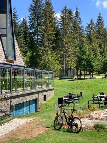 Pino Nature Hotel - image 3