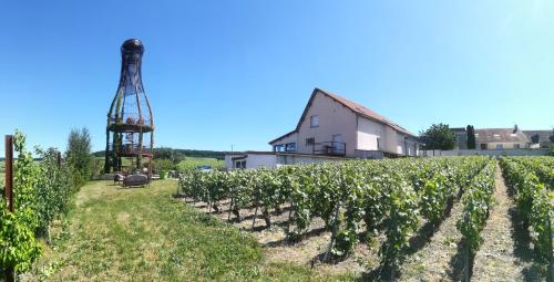 gîte coeur de champagne gîte à louer Bois de Saint-Marc