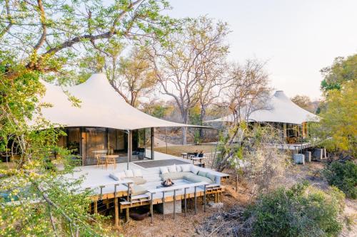 Saseka Tented Camp Thornybush Game Reserve