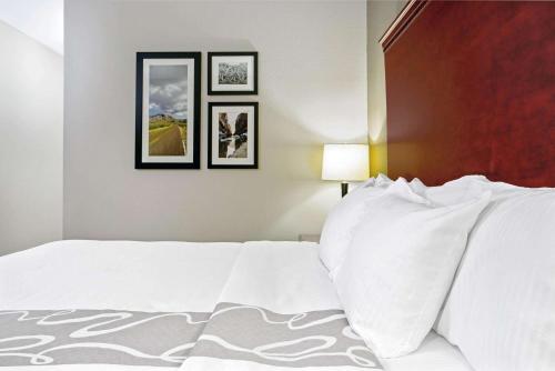La Quinta by Wyndham Fairfield TX - image 8