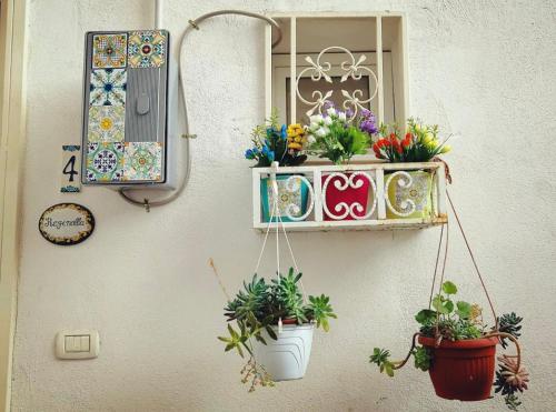 Reginella Holiday Home