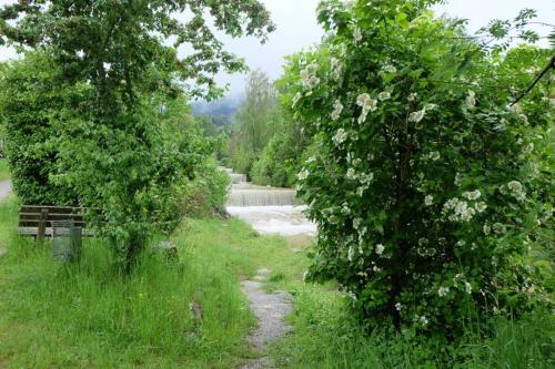 Am Jenbach - Apartment - Bad Feilnbach