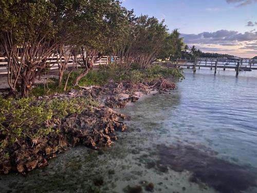 Bahia Bay Resort photo
