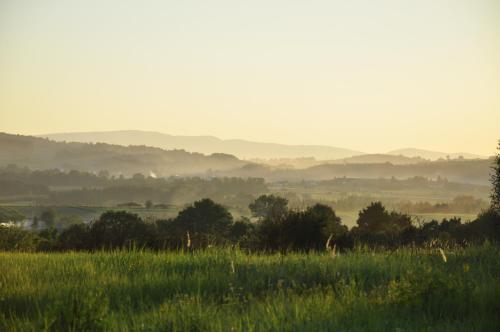 Agroturystyka Rogalik