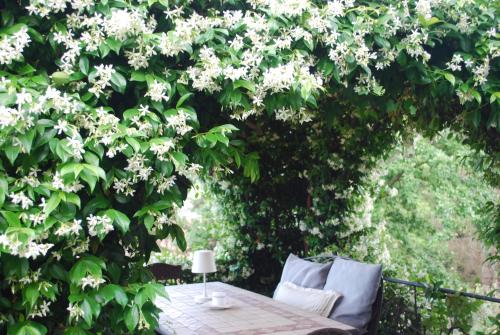 B&B Casa Margot – Neive, NY