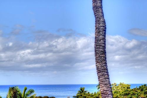 Maui Vista 2406 - image 5