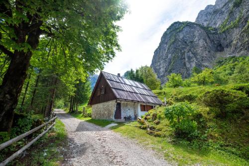 Fairy Tale House