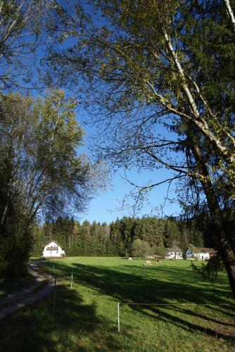 Baumzelt am Waldesrand