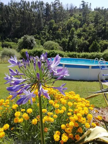  Nova Alofa holiday home in Monchique