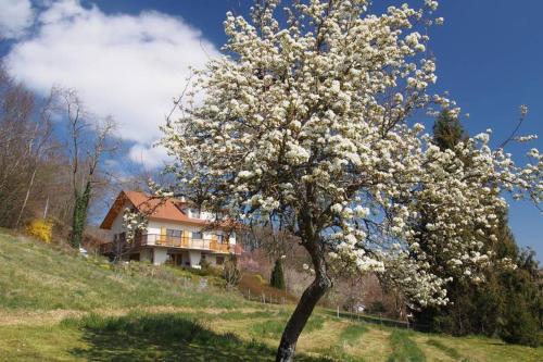 Le Merle Enchanteur - Location saisonnière - Villages-du-Lac-de-Paladru