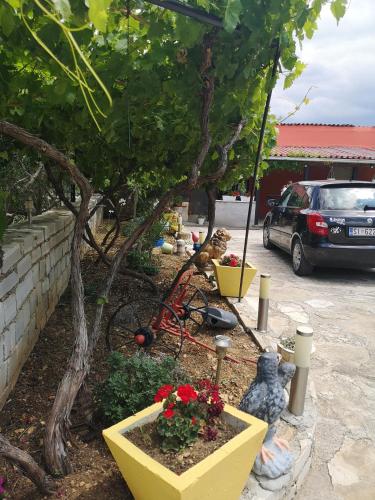  Jozo in Gornji Karin