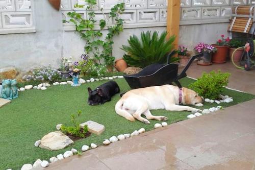  4 bedrooms house with wifi at Ampuero 6 km away from the beach in Ampuero