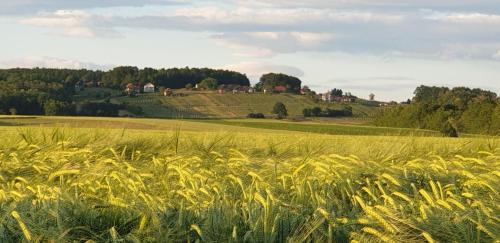 Genius Guest Unique Banovci Apartment Genius Guest Unique Banovci Apartment