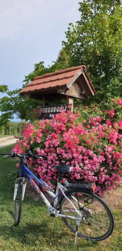 Genius Guest Unique Banovci Apartment Genius Guest Unique Banovci Apartment