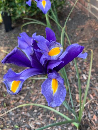 Super 8 by Wyndham Sturbridge Super 8 by Wyndham Sturbridge