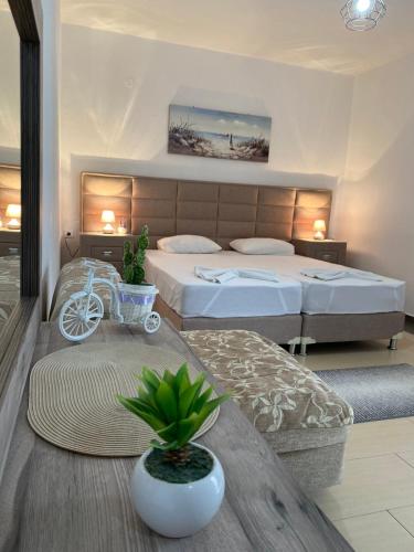 MD APARTMENTS - image 3
