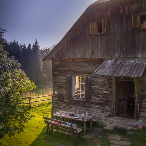 Unplugged Almhütte Waldbauer in Reichenfels, Österreich