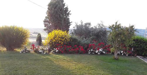 In collina sul mare...