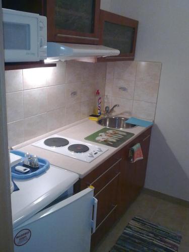 Konyha, Pension Duel in usti nad Labem