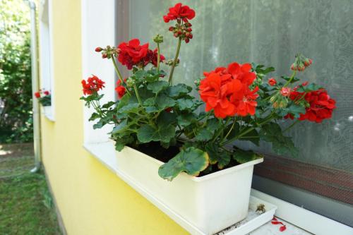 Alexandra Vendégház Siófok