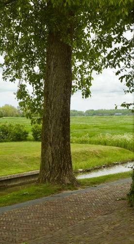  Logement Alde Leie in Alde Leie