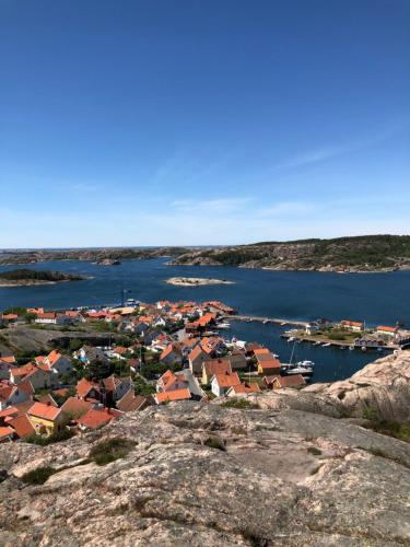 Marinan Richters - image 14