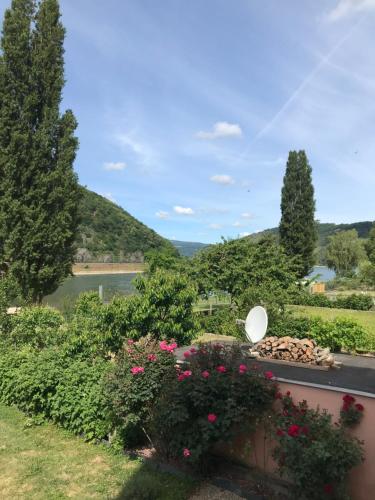Dārzs, Rheinblickzimmer in Sankt Goarshausen