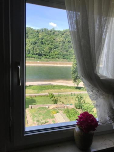 Skats, Rheinblickzimmer in Sankt Goarshausen