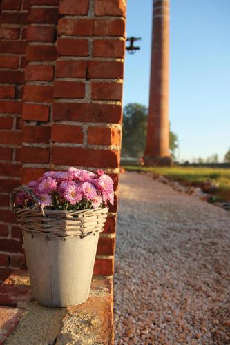 B&B Amuse-Couche - image 3