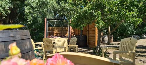 Pure Passie Bed and Breakfast in Tiengemeten