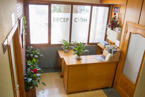 Hostal La Palmera